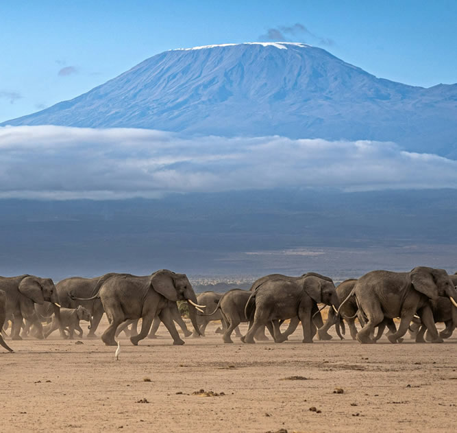 7 Day Kenya Mlima Safari!