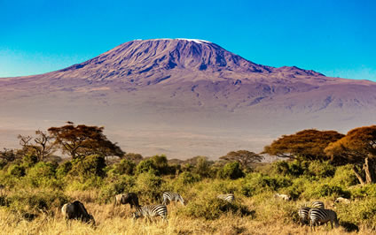Full Day Trip to Tsavo East National Park