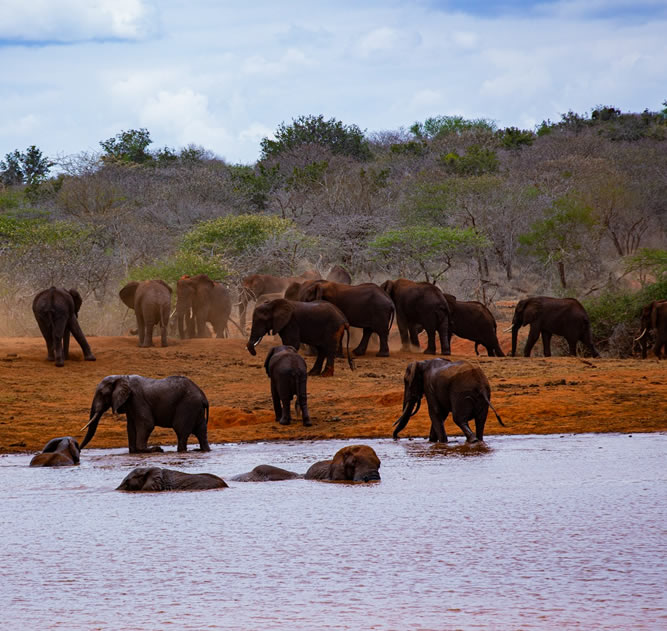 3 Days Mashariki Safari