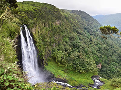 Aberdare National Park