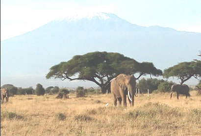 Amboseli