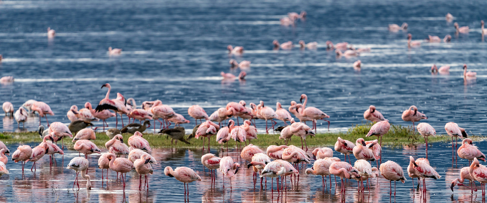 12 Days Tourist Choice Safari