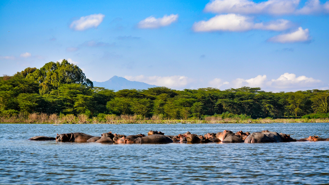 5 Days Kenyan Taste safari