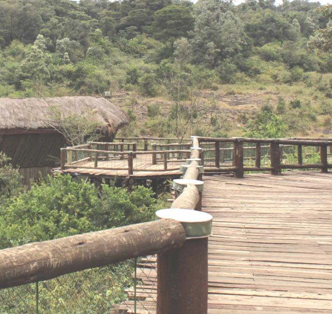 Nairobi Safari Walk