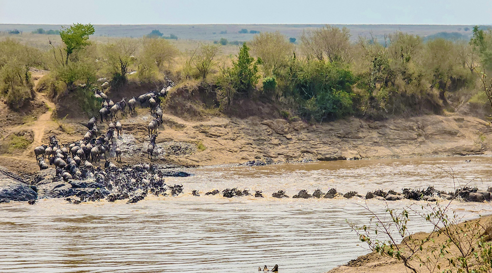 East Africa safari destinations