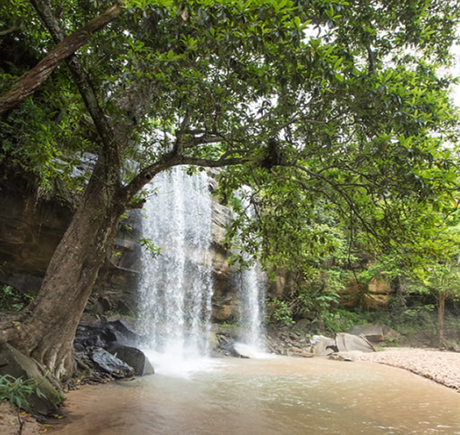 Overnight  –Shimba Hills