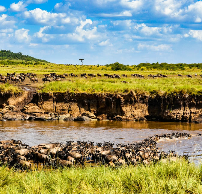 7 Days Kenya’s wonders safari