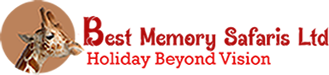 Best Memory Safaris