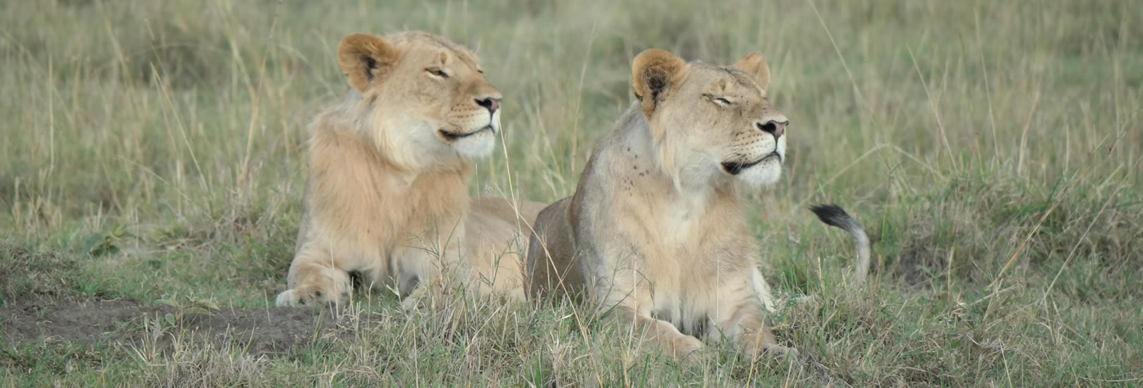 Read more about the article 8 Days Kenya’s wonders safari